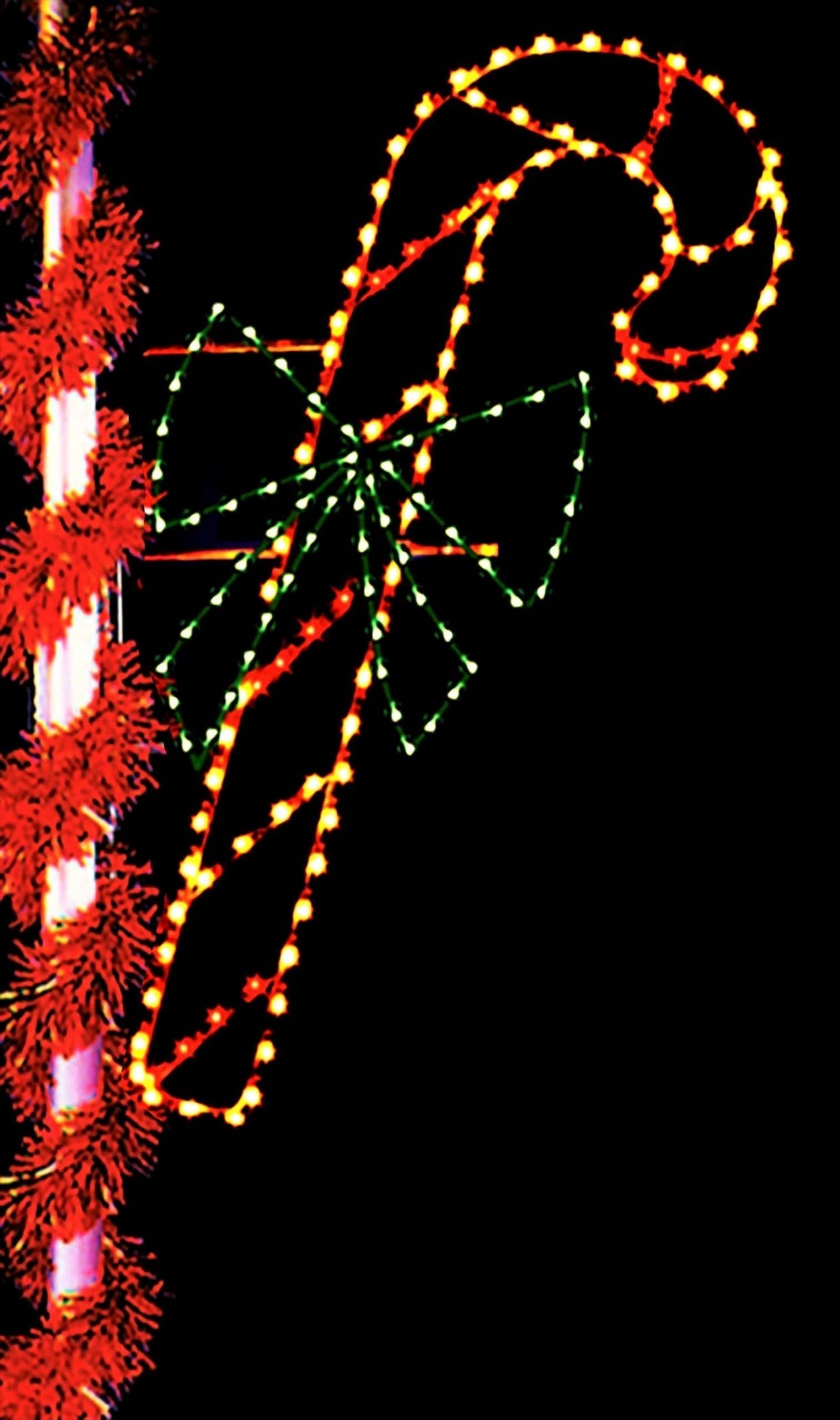 Candy Cane