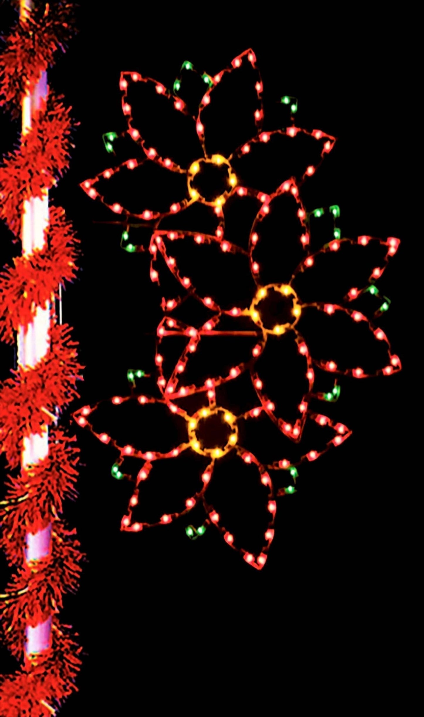 Triple Poinsettia