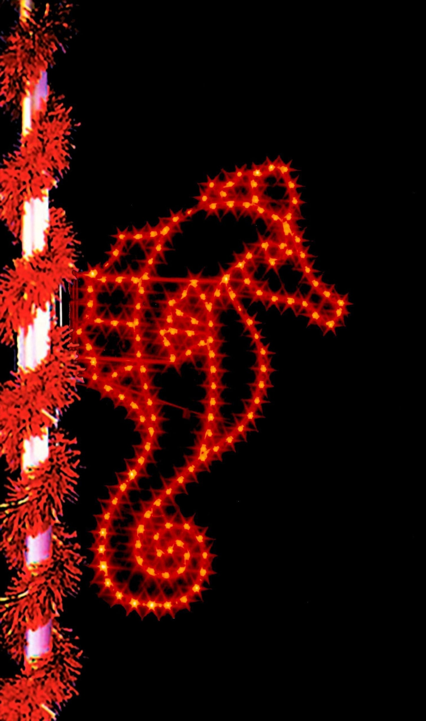 Seahorse