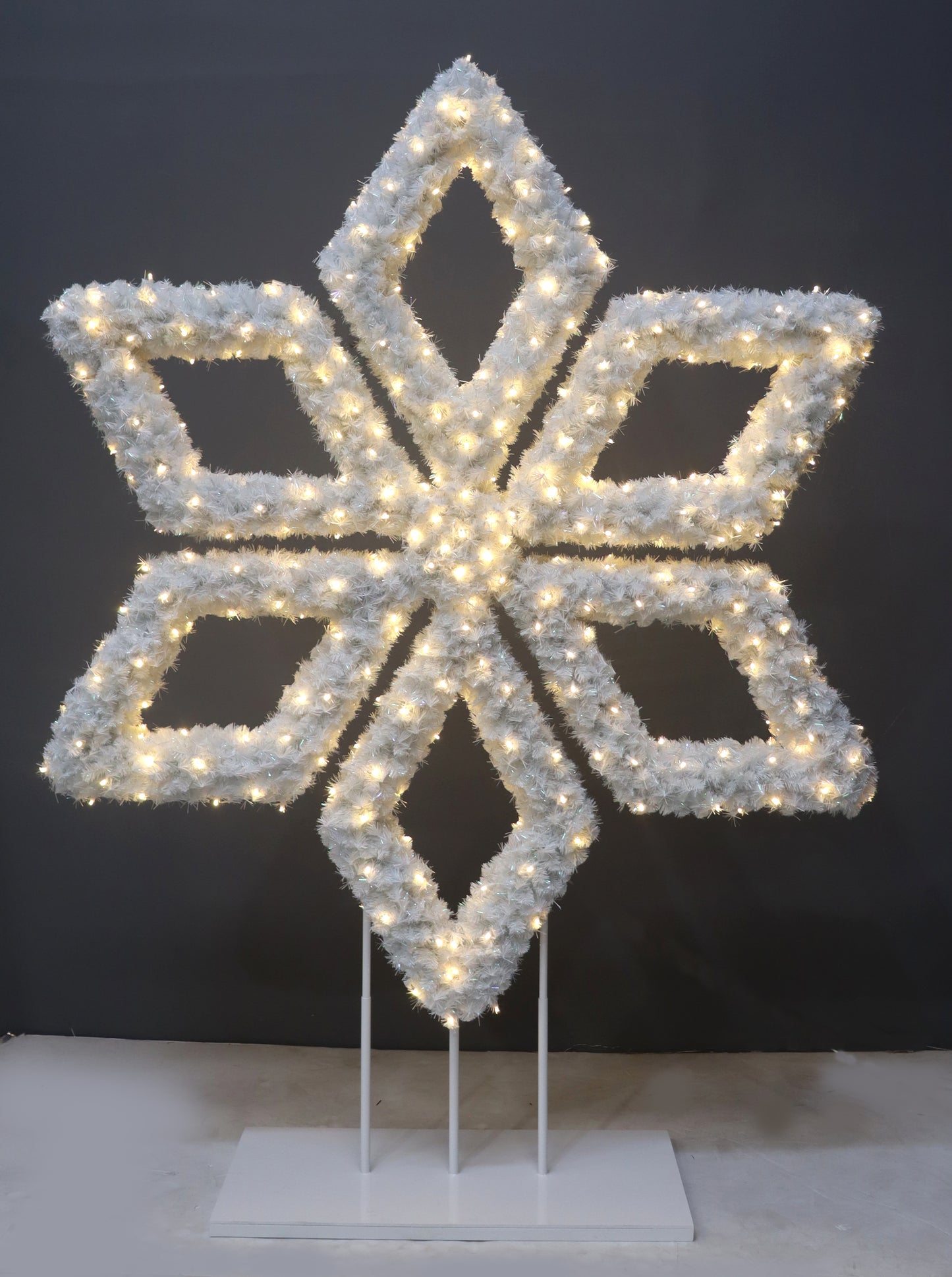 Snowflake Photo Op