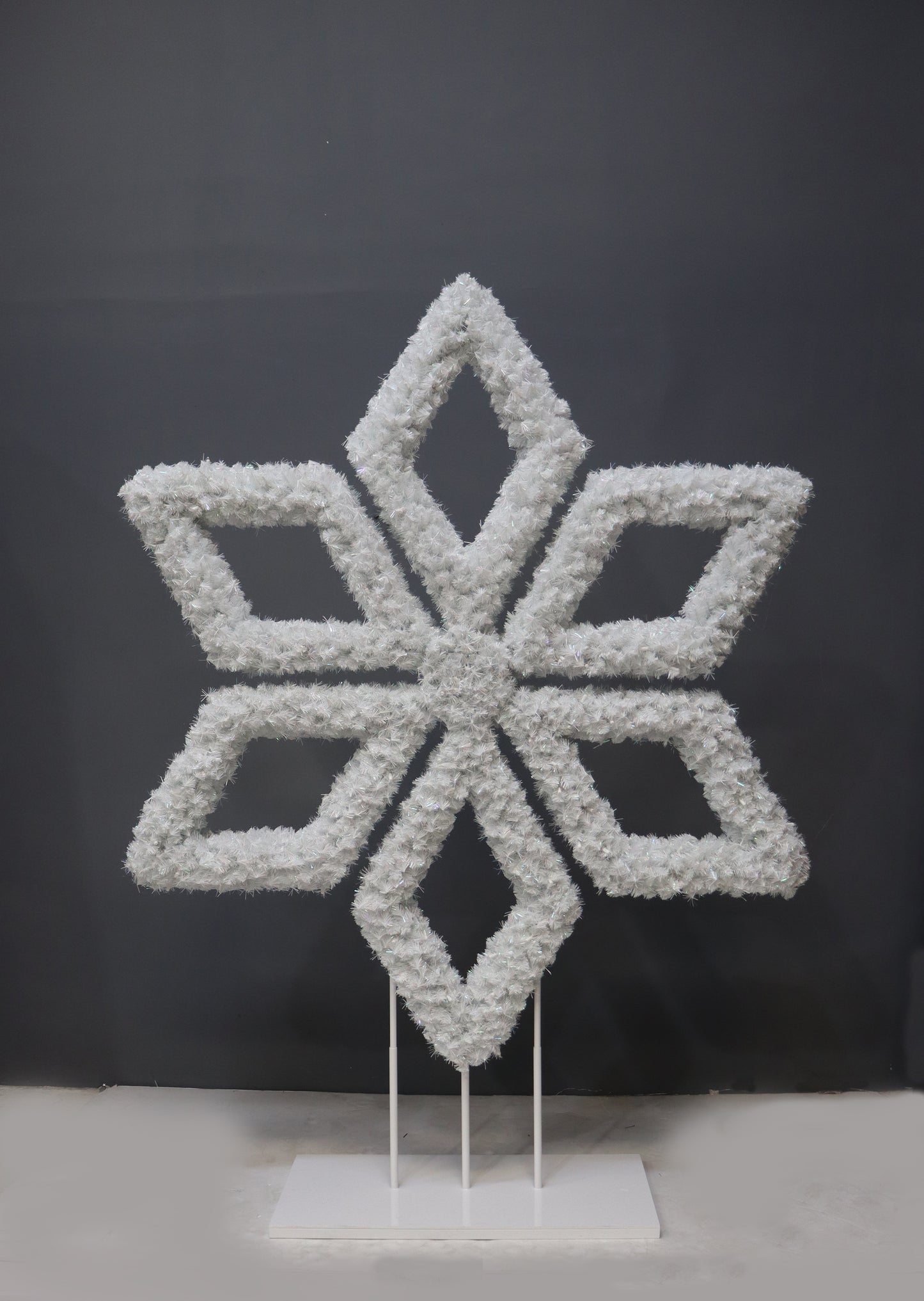 Snowflake Photo Op