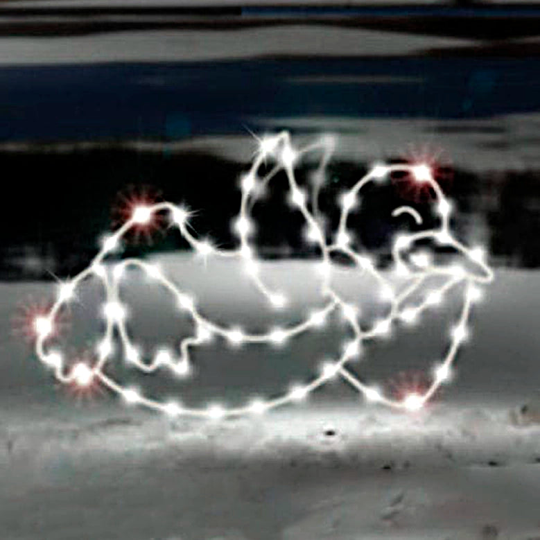 Silhouette of a cute penguin illuminated with vibrant C7 LED Christmas lights. The penguin appears to be in a joyful pose, sliding on the snow. The lights are arranged to outline the penguin's shape in bright colors, making it stand out against the dark background. The penguin is positioned on a snow-covered surface, adding a seasonal touch to the display, perfect for holiday decorations and winter-themed events.