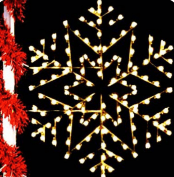 Arctic Snowflake