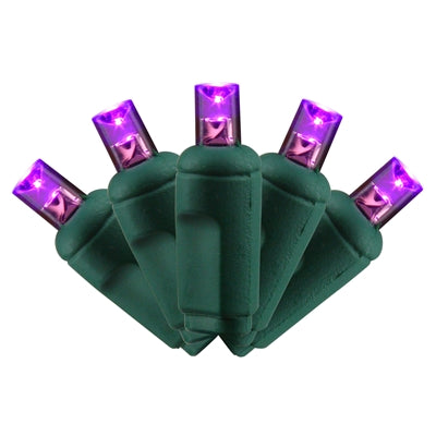 PURPLE COAXIAL LED 70 LIGHT 5MM BALLED (QTY 12)