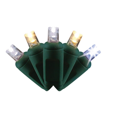 CHAMPAGNE COAXIAL LED 70 LIGHT 5MM BALLED (QTY 12)