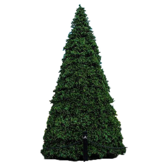 Majestic Pine Branch Tree