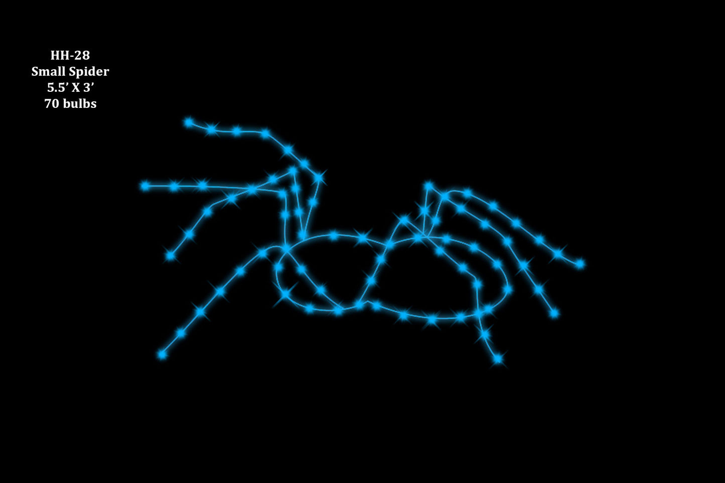 Small Spider