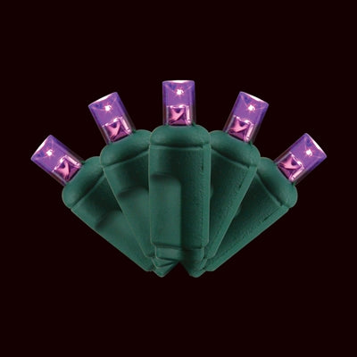 PURPLE LED 50 LIGHT 5MM BALLED (QTY 12)