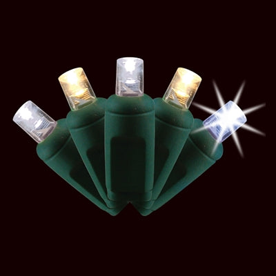 Champagne LED 70 Light 5MM Balled ( QTY 12 )
