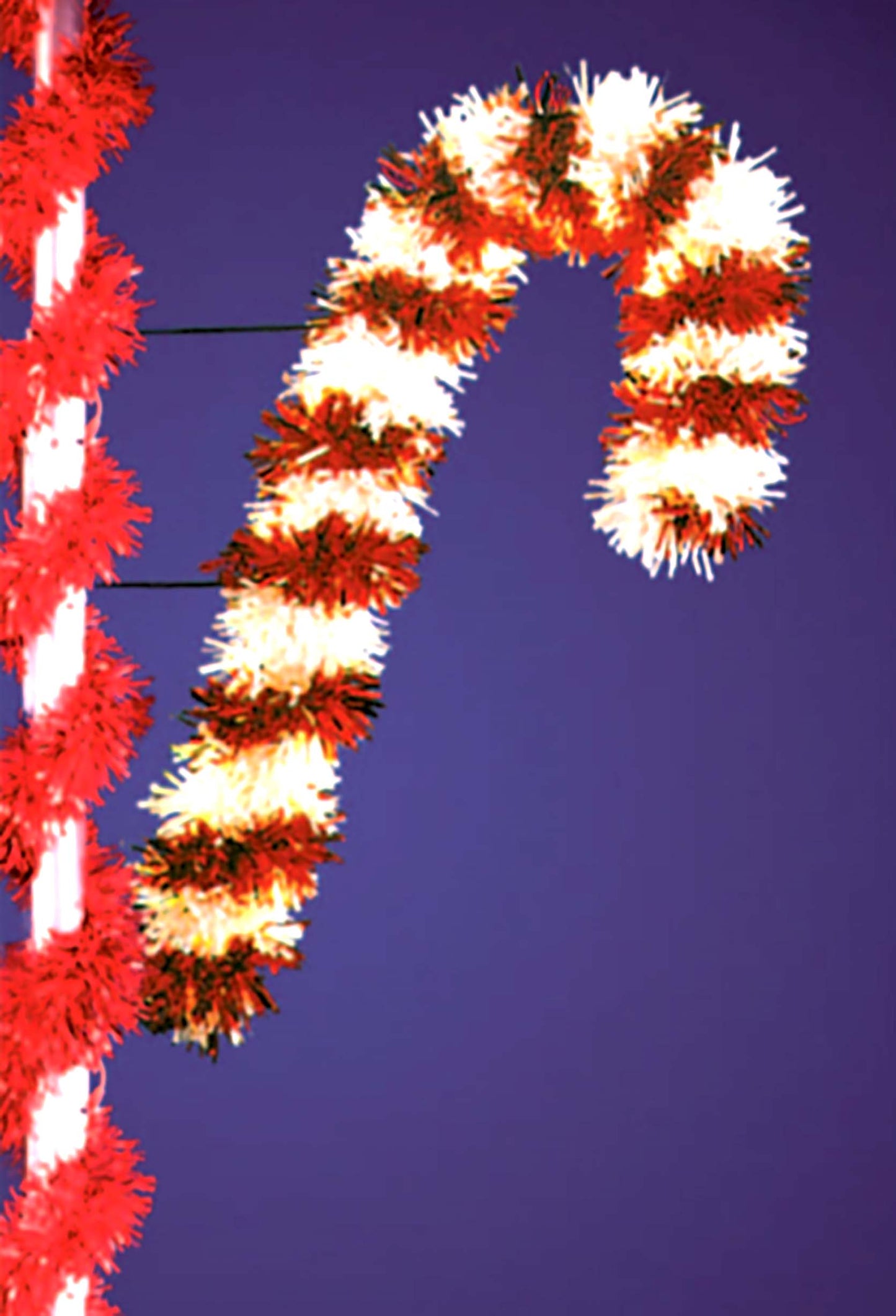 Candy Cane