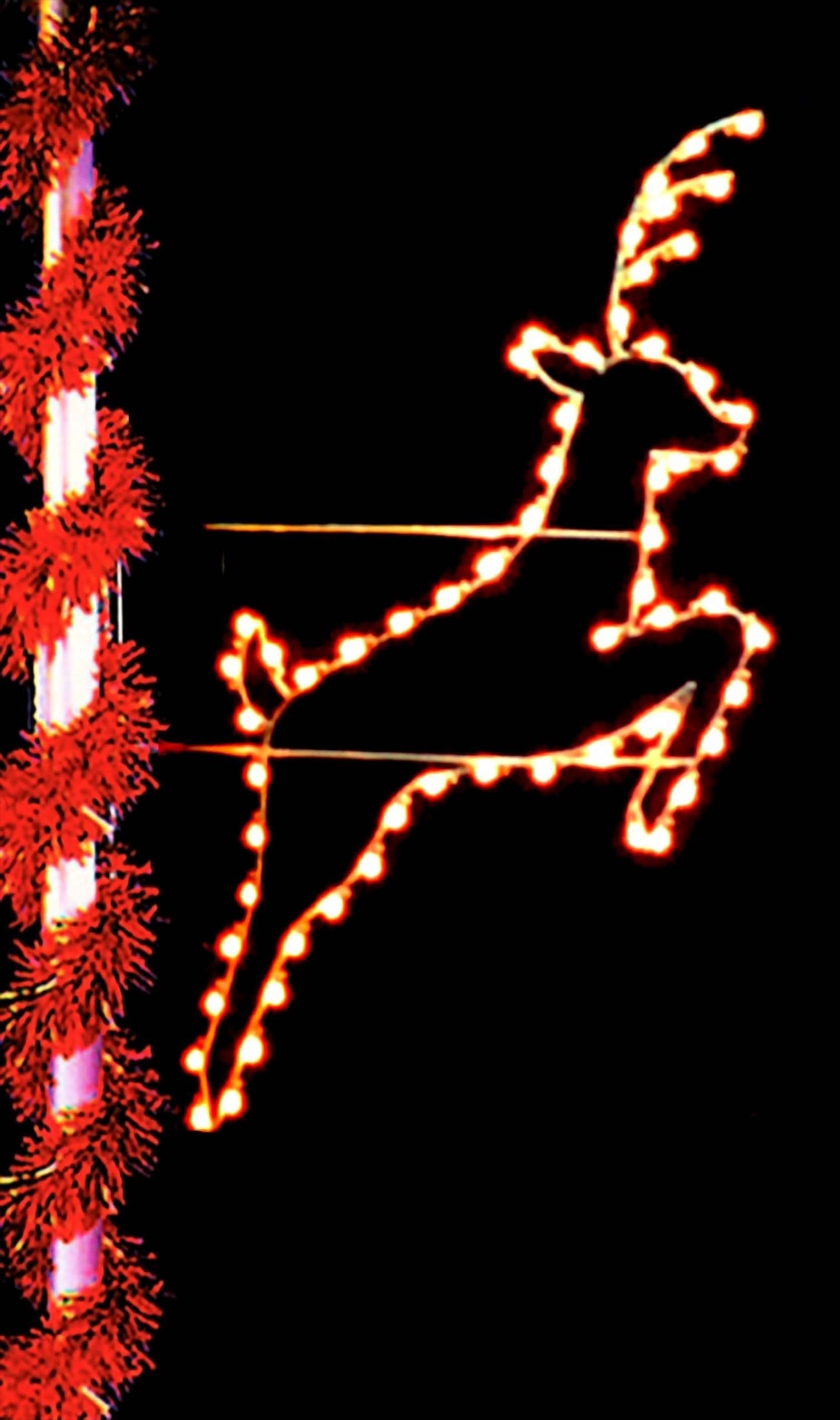 Leaping Buck