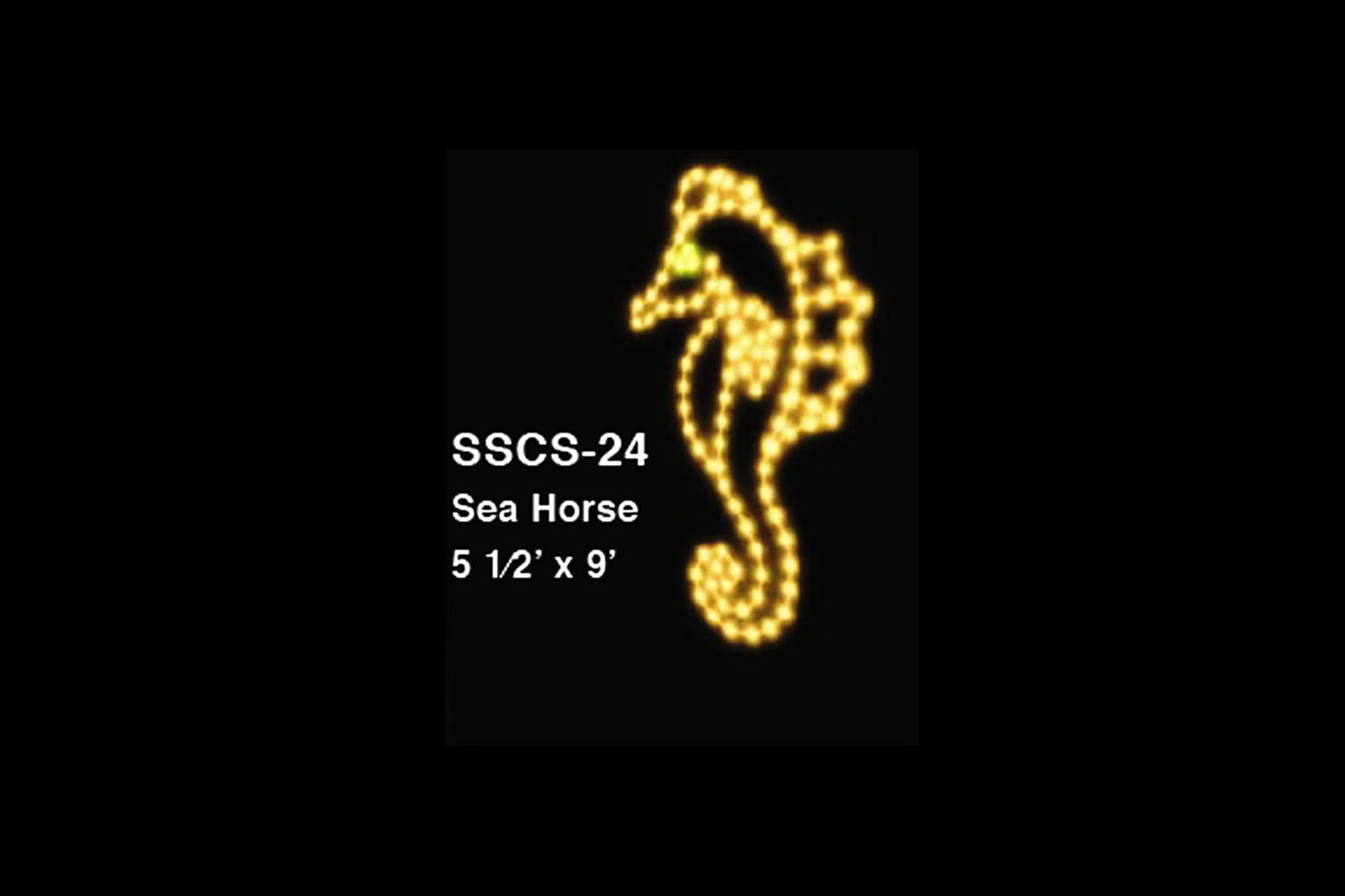 Seahorse