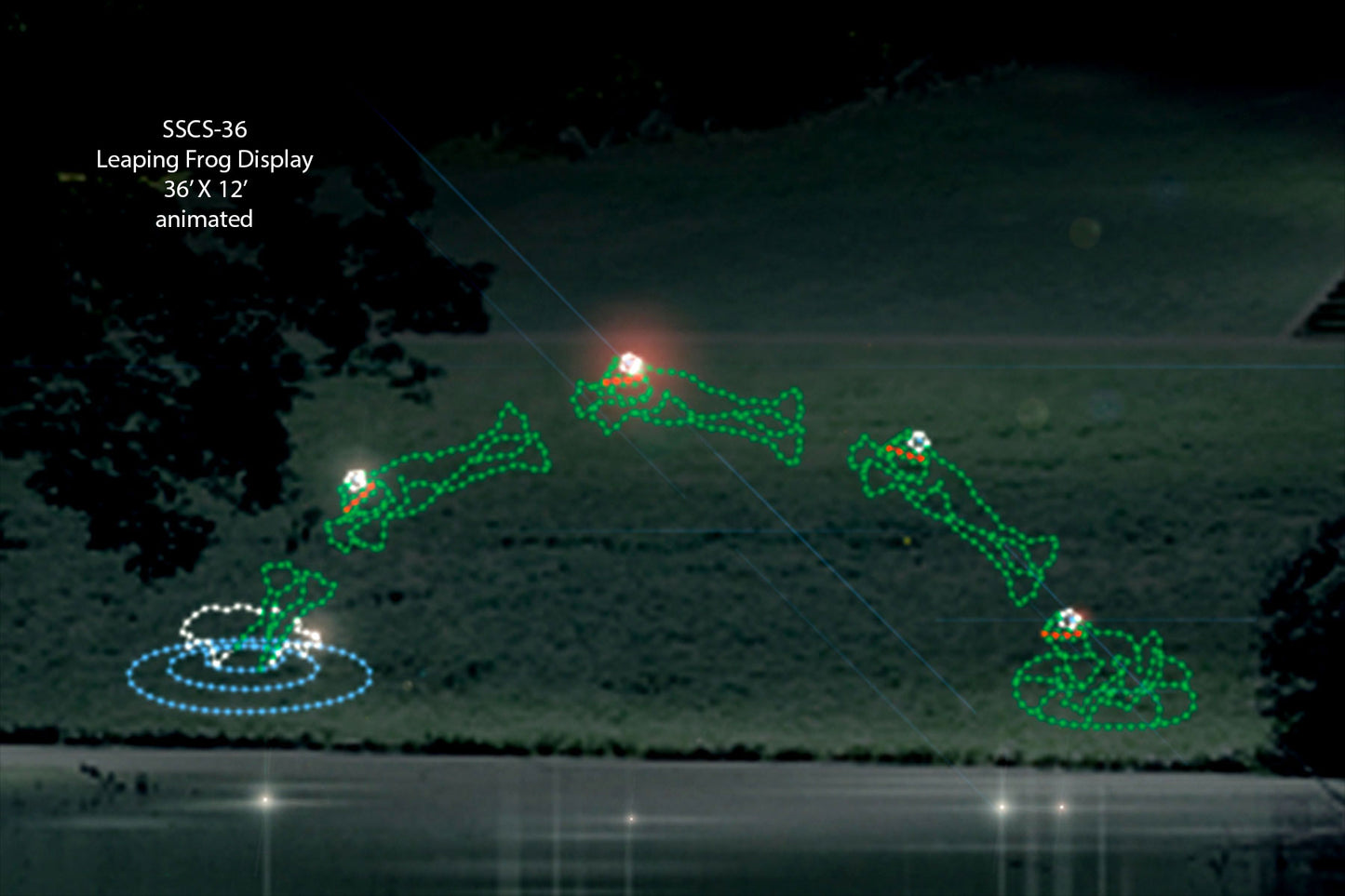 Leaping Frog Display