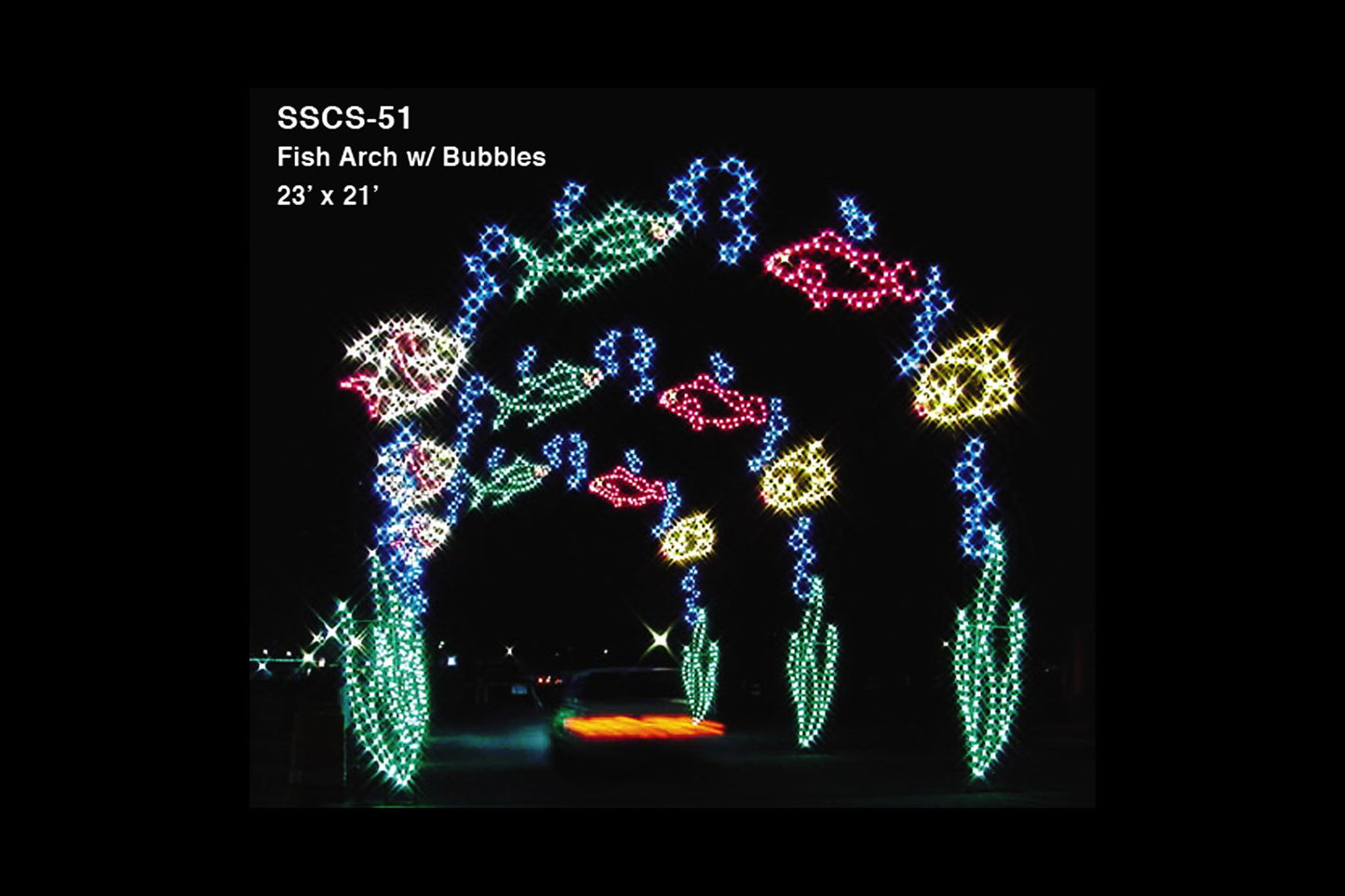 Fish Arch With Bubbles