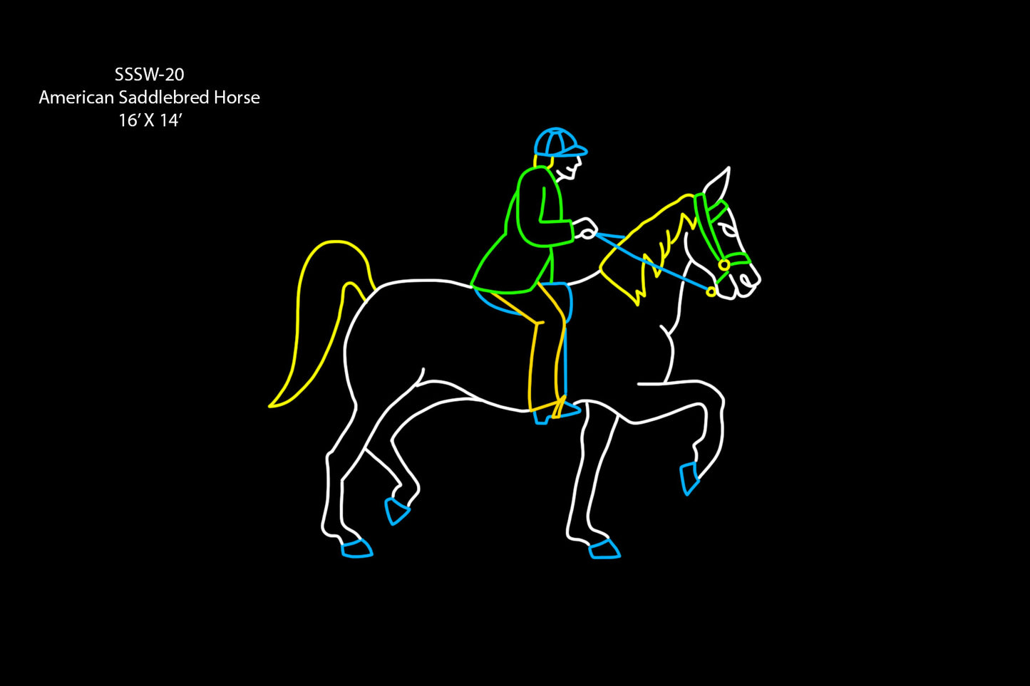 American Saddlebred Horse