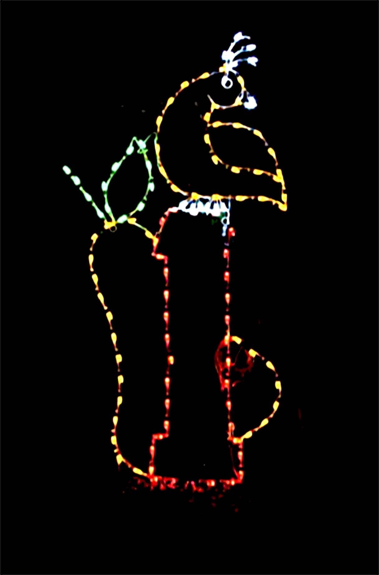 Partridge in A Pear Tree