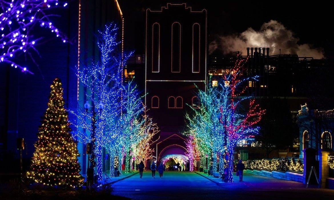 Vibrant commercial Christmas lights illuminate a city street, featuring brightly lit trees in blue, red, and green, with a festive Christmas tree and a building adorned with warm white lights in the background, creating a stunning holiday display.