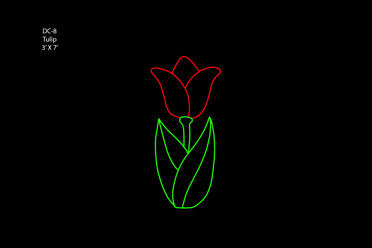 Tulip