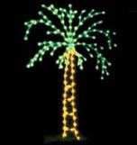 Small Palm Tree