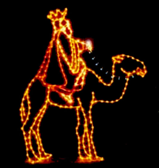 Wiseman on Camel