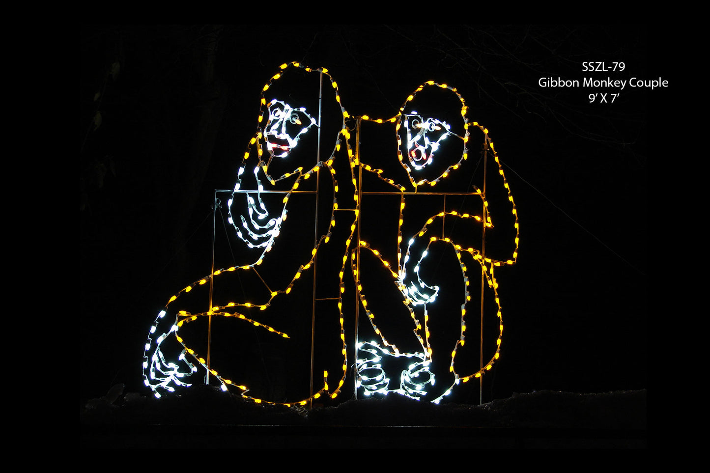 Gibbon Monkey Couple